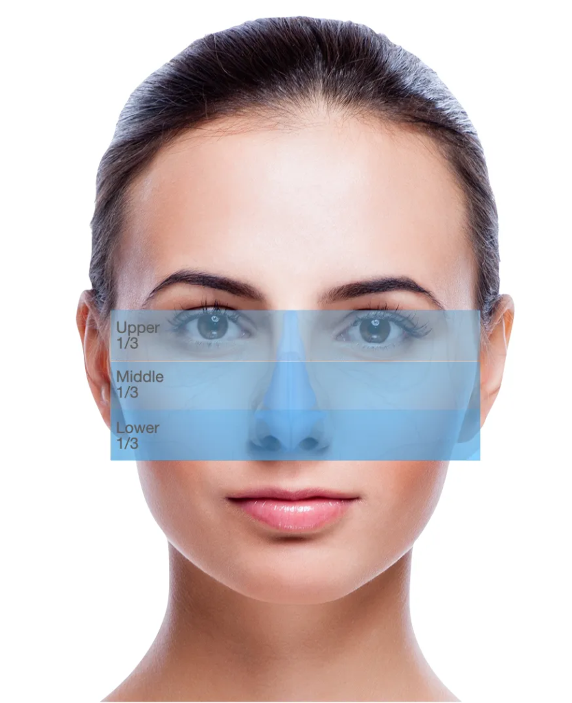 Image Reduction_rhinoplasty_anatomy