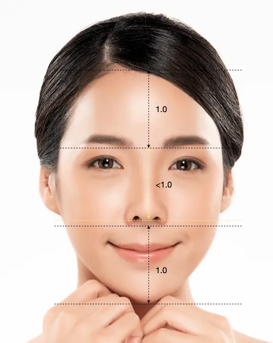 Image Upturned_nose_proportion