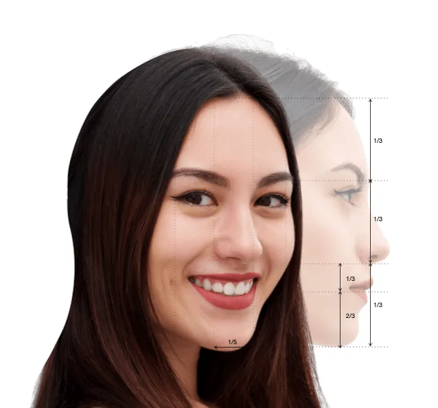 Image rhinoplasty_proportions